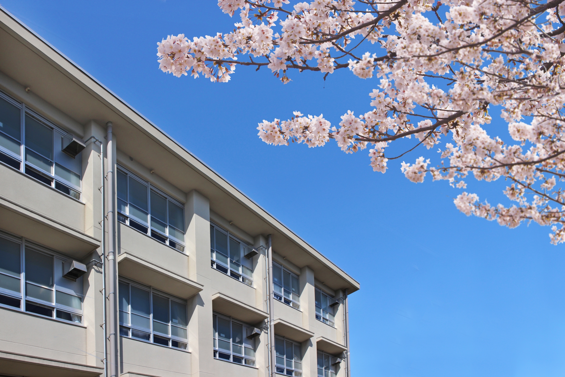 学校別サピックスオープンとは何？