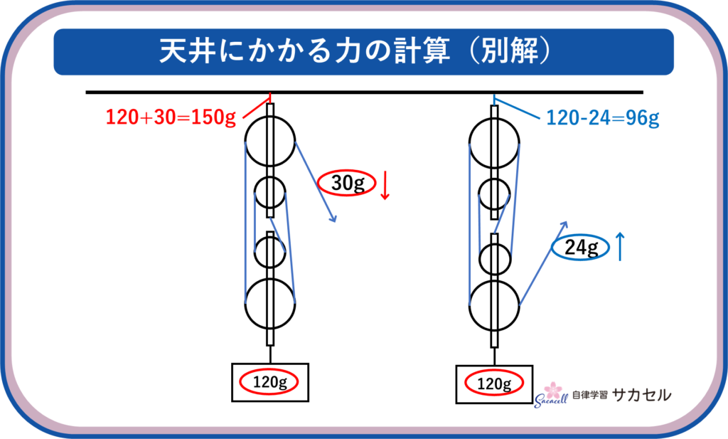 SAPIX6年7月復習テストでおさえるべきポイント―理科編