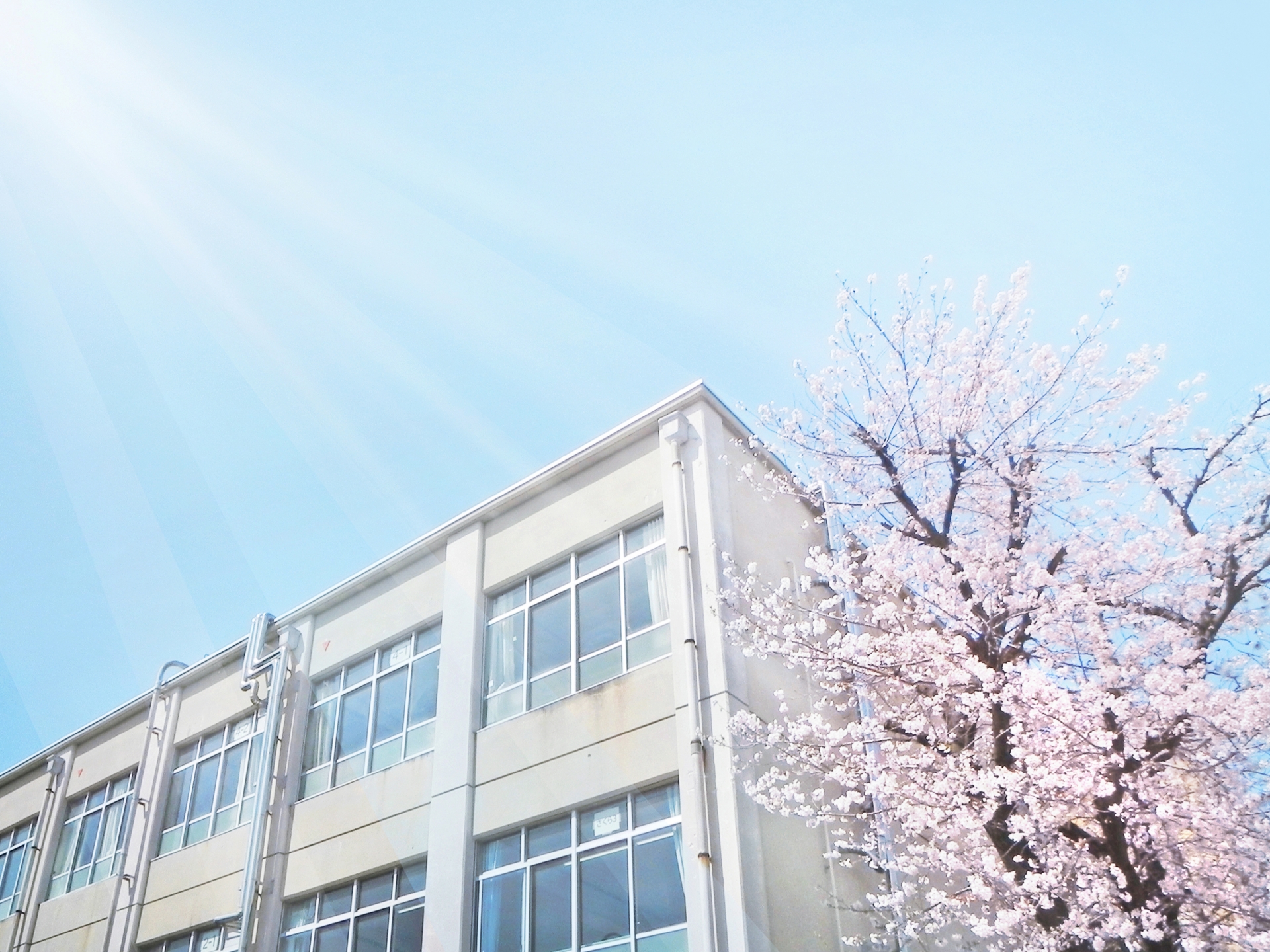 SAPIX6年生 3月度復習テストはどう対策する？算数編