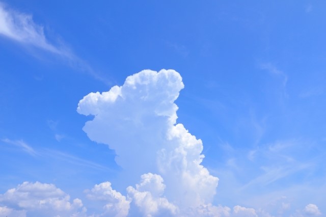 SAPIX5年7月度組分けテストの対策【理科編】｜自律学習サカセル